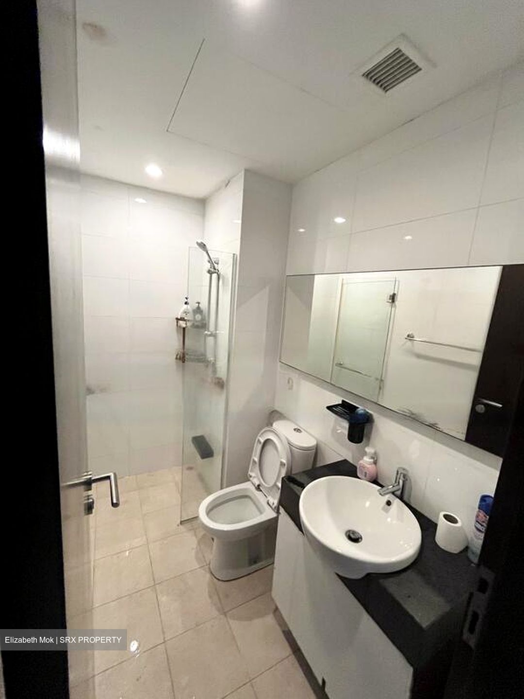 Treasure Place (D5), Condominium #498883431